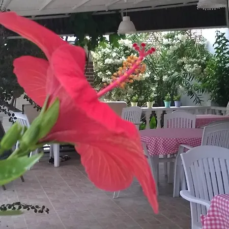 Garden-view Appartement Ortaca (Mugla)