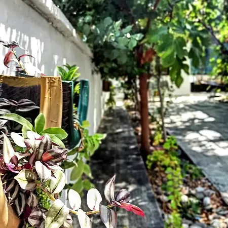 Διαμέρισμα Garden-view *