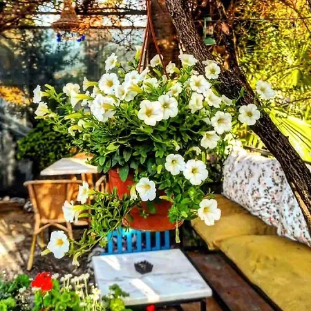 Appartement Garden-view *